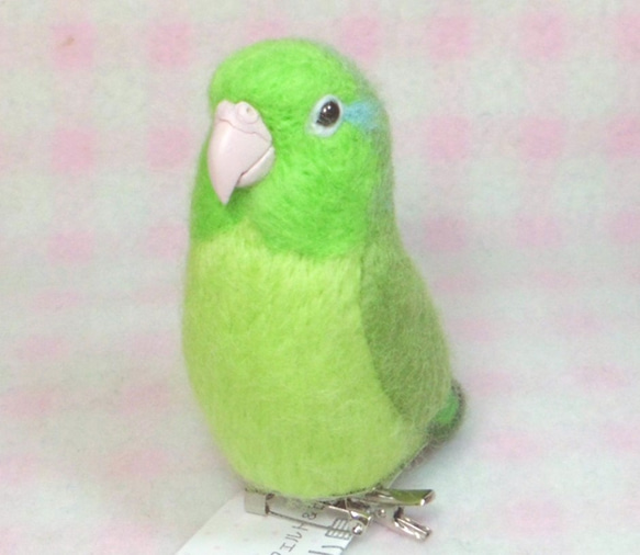 太平洋鹦哥☆夾＆胸針☆羊毛氈　★mini Pacific Parrotlet★ clip & brooch 第1張的照片