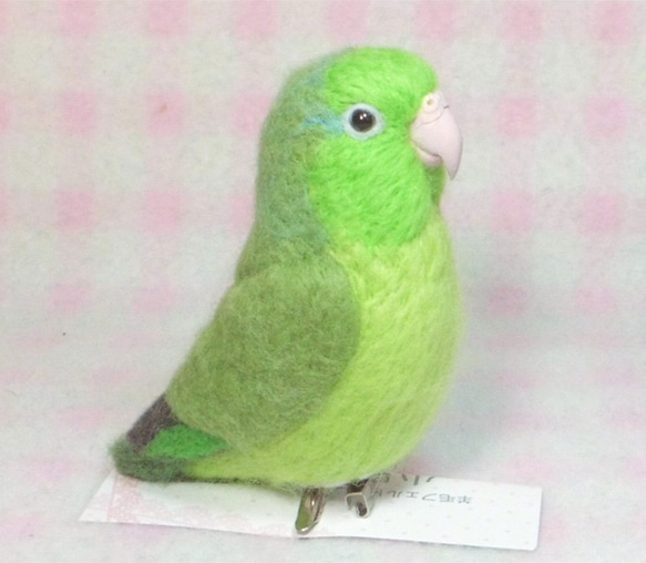 太平洋鹦哥☆夾＆胸針☆羊毛氈　★mini Pacific Parrotlet★ clip & brooch 第4張的照片