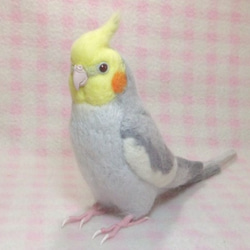 ライフサイズ♪  オカメインコ ノーマル♂★ライトグレー　羊毛インコ　受注作成　羊毛ぬいぐるみ　羊毛フェルト 1枚目の画像