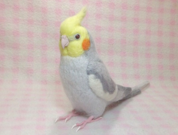 ライフサイズ♪  オカメインコ ノーマル♂★ライトグレー　羊毛インコ　受注作成　羊毛ぬいぐるみ　羊毛フェルト 1枚目の画像