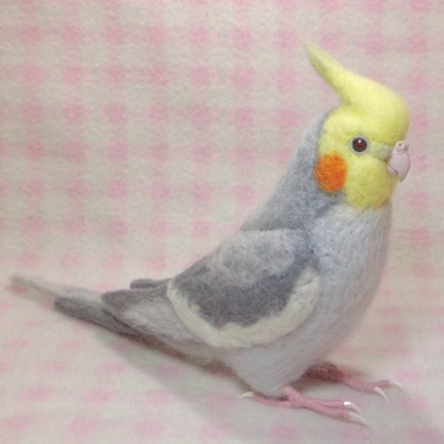 羊毛フェルト 公園のオカメインコちゃん ライフサイズ♪ オカメインコ ノーマル♂☆ライトグレー 羊毛インコ