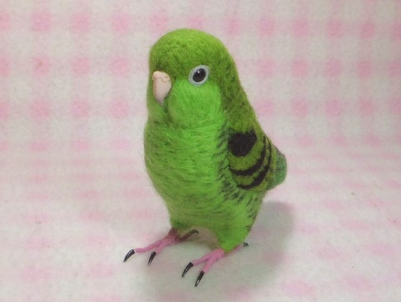 ***現實大小♪　橫斑鸚鵡☆羊毛氈***Barred Parakeet　1/1size 第3張的照片