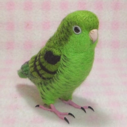 ライフサイズ♪ サザナミインコ  羊毛フェルト Barred Parakeet　受注作成　うちのこオーダー可能　 1枚目の画像