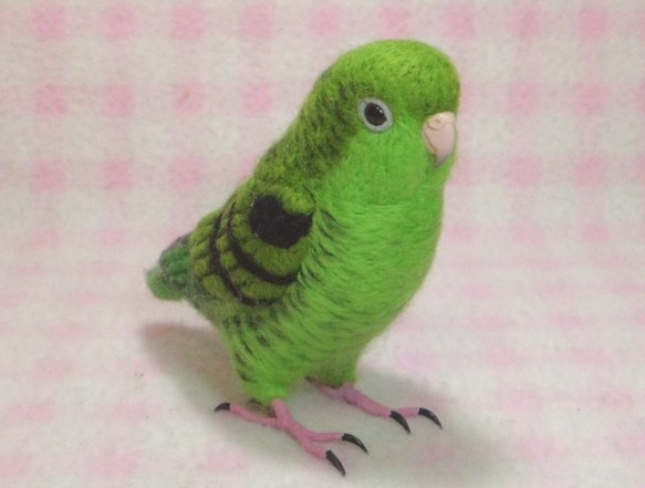 ライフサイズ♪ サザナミインコ  羊毛フェルト Barred Parakeet　受注作成　うちのこオーダー可能　 1枚目の画像