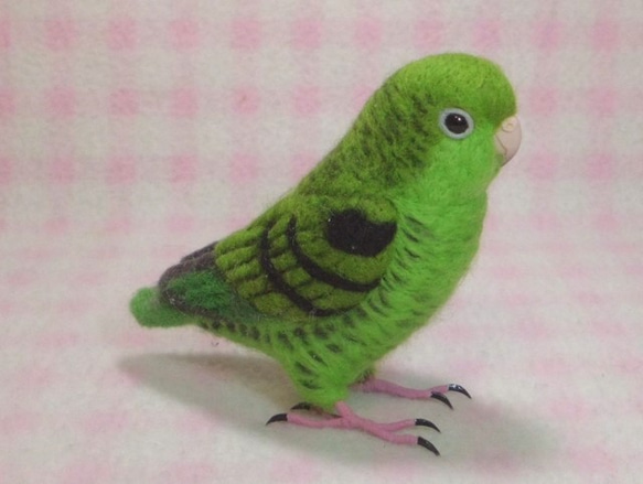 ***現實大小♪　橫斑鸚鵡☆羊毛氈***Barred Parakeet　1/1size 第2張的照片