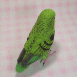 ***現實大小♪　橫斑鸚鵡☆羊毛氈***Barred Parakeet　1/1size 第5張的照片