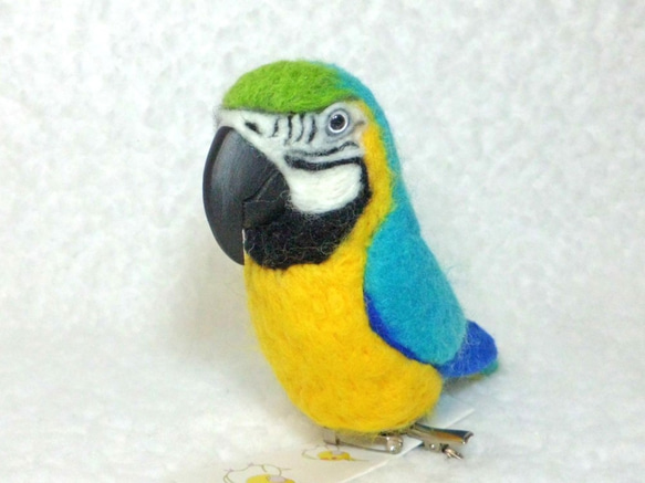 Blue-and-yellow Macaw　Blue-and-gold Macaw★夾＆胸針★clip & brooch 第2張的照片