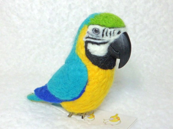 Blue-and-yellow Macaw　Blue-and-gold Macaw★夾＆胸針★clip & brooch 第3張的照片