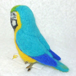 ルリコンゴウインコ mini♪☆マグネット/ブローチどちらか選択　足有に変更可能　受注作成　羊毛フェルト　羊毛インコ 5枚目の画像