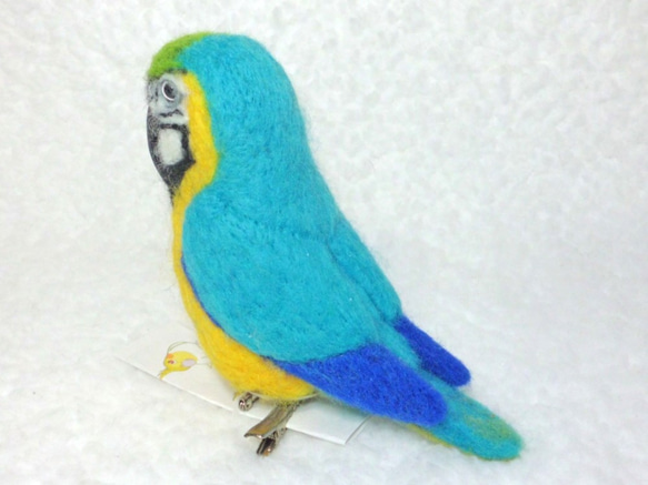 ルリコンゴウインコ mini♪☆マグネット/ブローチどちらか選択　足有に変更可能　受注作成　羊毛フェルト　羊毛インコ 5枚目の画像