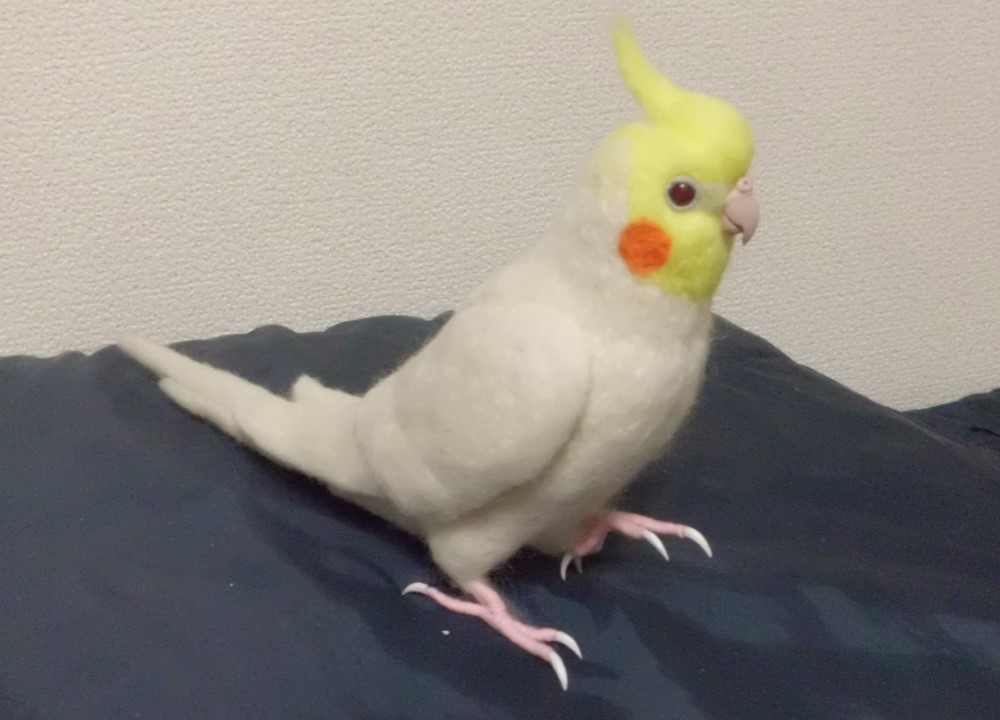 ライフサイズ  オカメインコ ルチノー☆はじめのい～っ歩♪☆羊毛フェルト　羊毛インコ　受注作成　メモリアル