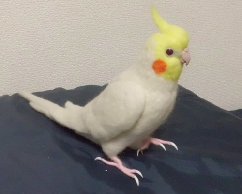 羊毛フェルト オカメインコ ルチノー 0_cf0c2400c3fd6e4f9230f92d1c67