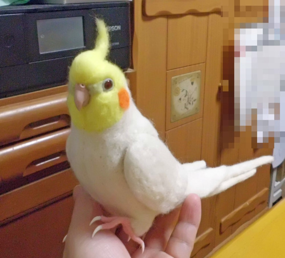 ***現實大小♪玄鳳鸚鵡（雞尾鸚鵡）☆羊毛氈***Cockatiel　 第4張的照片