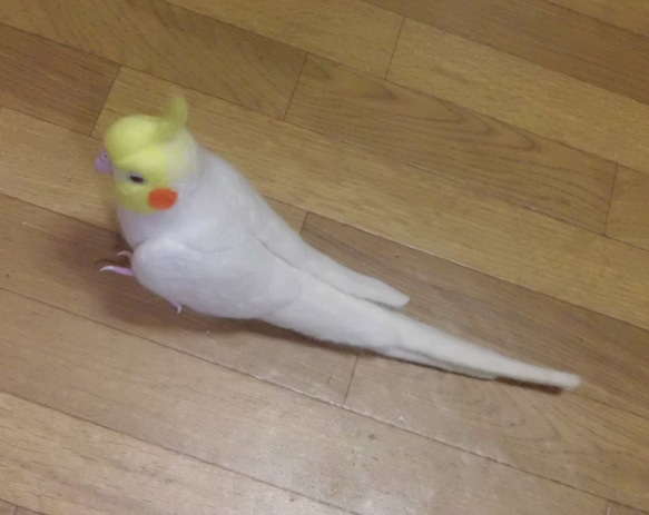 ライフサイズ  オカメインコ ルチノー☆はじめのい～っ歩♪☆羊毛フェルト　羊毛インコ　受注作成　メモリアル 6枚目の画像