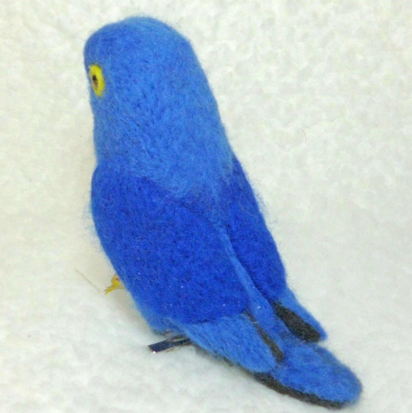 Blue macaw　★夾＆胸針★clip & brooch 第3張的照片