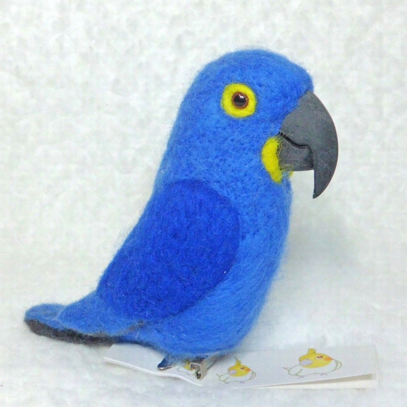 Blue macaw　★夾＆胸針★clip & brooch 第5張的照片