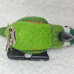 ★mini Red-shouldered Macaw☆夾＆胸針☆羊毛氈　 ★ clip & brooch 第5張的照片