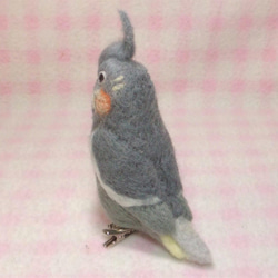 オカメインコ ノーマル ♀ mini♪☆ マグネット/ブローチどちらか選択　足有に変更可能　受注作成　 羊毛フェルト 4枚目の画像