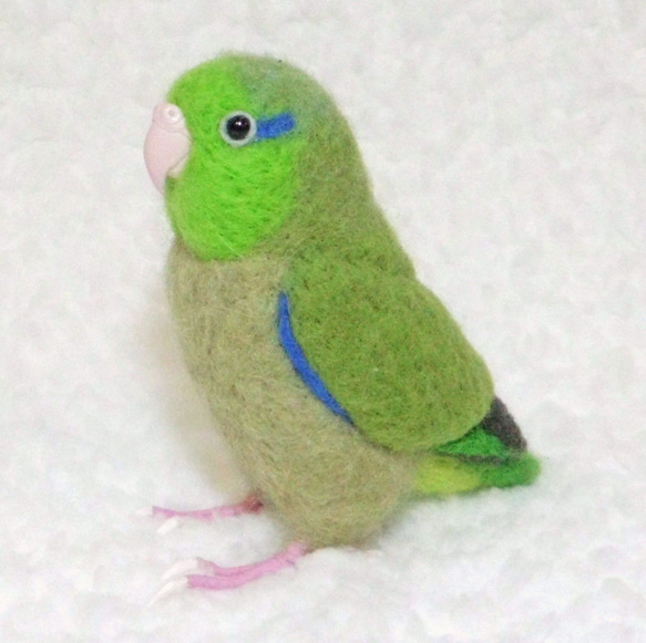 ***現實大小♪太平洋鹦哥☆羊毛氈***Pacific Parrotlet ・ Celestial Parrotle 第4張的照片