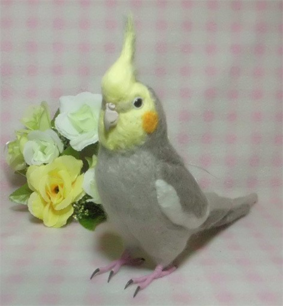 * BiBi dedicated order page *Create cockatiel orders*1/1 siz 第4張的照片