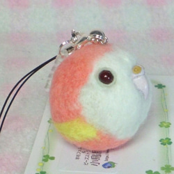 Bourke's Parrot★鑰匙扣/手機的魅力/耳機插孔 ★Key chain/phone charm 第3張的照片