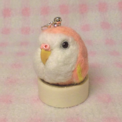 Bourke's Parrot★鑰匙扣/手機的魅力/耳機插孔 ★Key chain/phone charm 第7張的照片