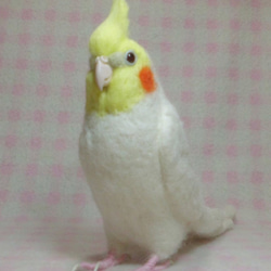 [Creema限定　幸運袋] Cockatiel Lucino  3件套鳥品內容：羊毛玄鳳鸚鵡，羊毛胸針和珠子帶 第2張的照片