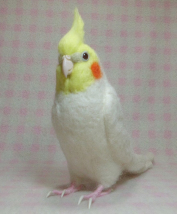 [Creema限定　幸運袋] Cockatiel Lucino  3件套鳥品內容：羊毛玄鳳鸚鵡，羊毛胸針和珠子帶 第2張的照片