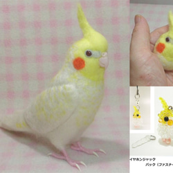 [Creema限量幸運袋]Cockatiel parl 3件套鳥品商品內容：羊毛玄鳳鸚鵡，羊毛胸針，珠子帶 第1張的照片