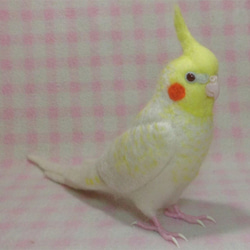 [Creema限量幸運袋]Cockatiel parl 3件套鳥品商品內容：羊毛玄鳳鸚鵡，羊毛胸針，珠子帶 第2張的照片