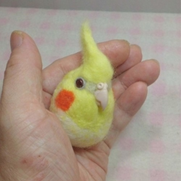 【Creema限定 福袋】オカメインコ パール3点セット ☆セット内容：羊毛インコ・羊毛ブローチ・ストラップ★受注作成品 3枚目の画像