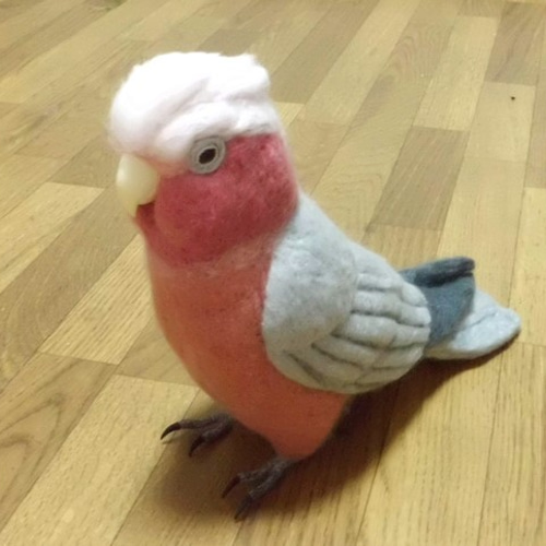 羊毛フェルトのインコ | iichi 日々の暮らしを心地よくする