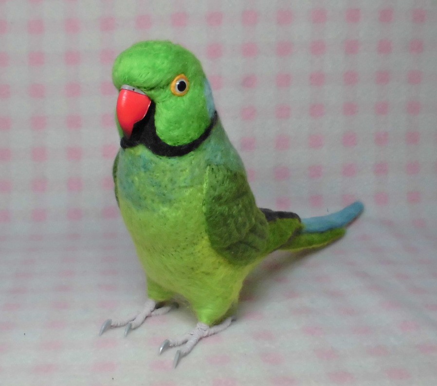 ほぼライフサイズ♪ ワカケホンセイインコ　羊毛フェルト★ルチノーやブルーに変更可能　受注作成　うちの子オーダー可能