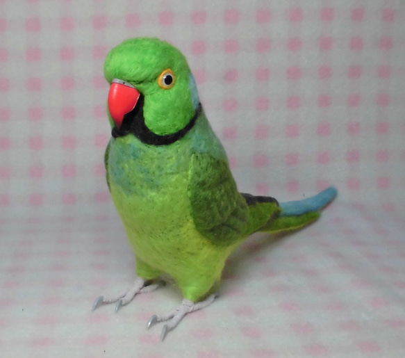 ***現實大小♪ring-necked parakeet☆羊毛氈*** 第1張的照片