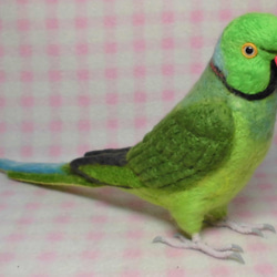 ***現實大小♪ring-necked parakeet☆羊毛氈*** 第3張的照片