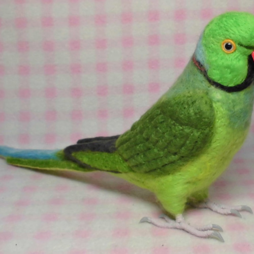羊毛フェルト ハンドメイド ドアからワカケホンセイインコ