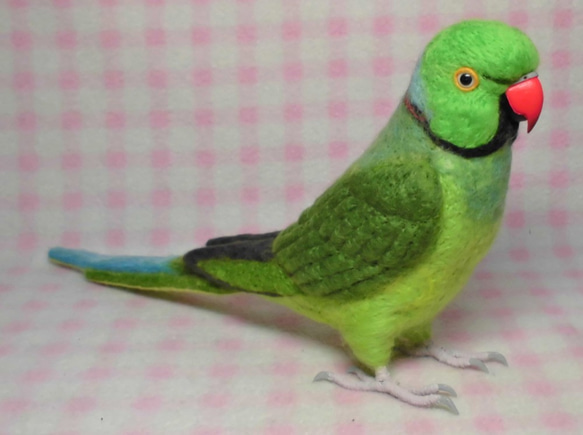 ***現實大小♪ring-necked parakeet☆羊毛氈*** 第3張的照片
