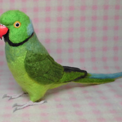 ***現實大小♪ring-necked parakeet☆羊毛氈*** 第4張的照片
