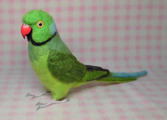 ***現實大小♪ring-necked parakeet☆羊毛氈*** 第4張的照片