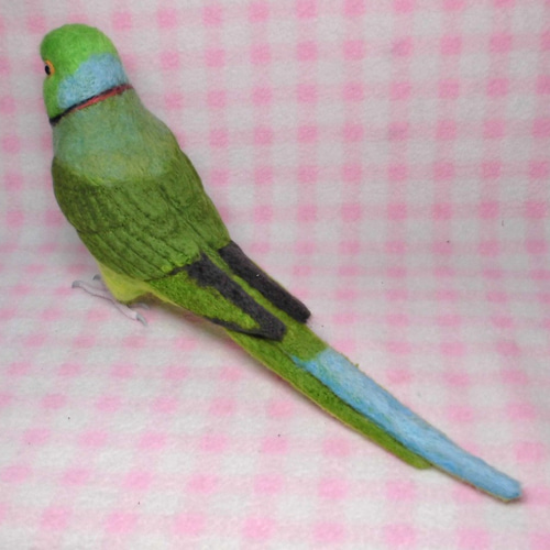 羊毛フェルト ハンドメイド ドアからワカケホンセイインコ