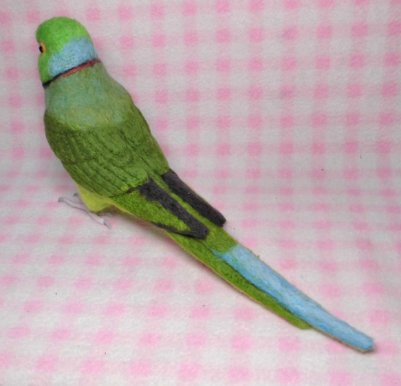 ***現實大小♪ring-necked parakeet☆羊毛氈*** 第5張的照片