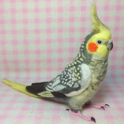 ライフサイズ♪ オカメインコ パール（羽色変更可能）羊毛フェルト　羊毛ぬいぐるみ  羊毛インコ　受注作成　工房小鳥屋さん 2枚目の画像