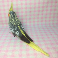 ライフサイズ♪ オカメインコ パール（羽色変更可能）羊毛フェルト　羊毛ぬいぐるみ  羊毛インコ　受注作成　工房小鳥屋さん 3枚目の画像