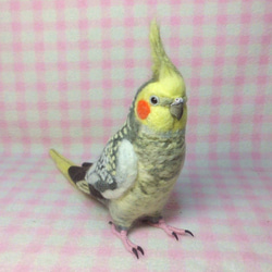 ライフサイズ♪ オカメインコ パール（羽色変更可能）羊毛フェルト　羊毛ぬいぐるみ  羊毛インコ　受注作成　工房小鳥屋さん 4枚目の画像