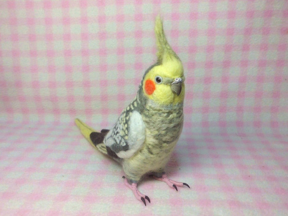 ライフサイズ♪ オカメインコ パール（羽色変更可能）羊毛フェルト　羊毛ぬいぐるみ  羊毛インコ　受注作成　工房小鳥屋さん 4枚目の画像