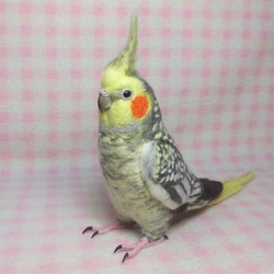 ライフサイズ♪ オカメインコ パール（羽色変更可能）羊毛フェルト　羊毛ぬいぐるみ  羊毛インコ　受注作成　工房小鳥屋さん 5枚目の画像