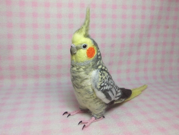 ライフサイズ♪ オカメインコ パール（羽色変更可能）羊毛フェルト　羊毛ぬいぐるみ  羊毛インコ　受注作成　工房小鳥屋さん 5枚目の画像