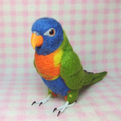 ***life size rainbow lorikeet Stuffed wool 現實大小 彩虹吸蜜鸚鵡*** 第1張的照片