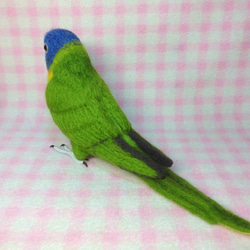 ***life size rainbow lorikeet Stuffed wool 現實大小 彩虹吸蜜鸚鵡*** 第3張的照片