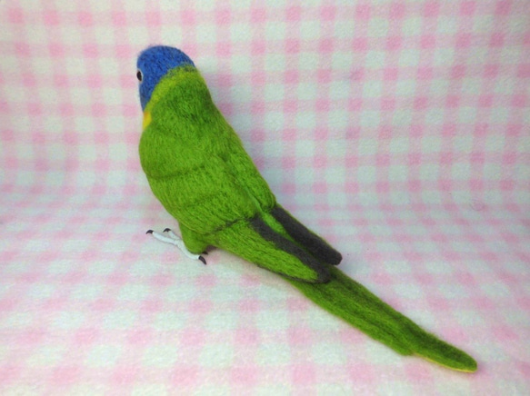 ライフサイズ♪ ゴシキセイガイインコ 羊毛フェルト　羊毛インコ　受注作成　うちの子オーダー可能　工房小鳥屋さん 3枚目の画像